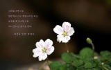 결혼과 이별은 정해져있다